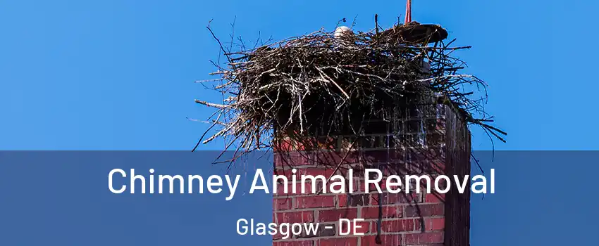 Chimney Animal Removal Glasgow - DE