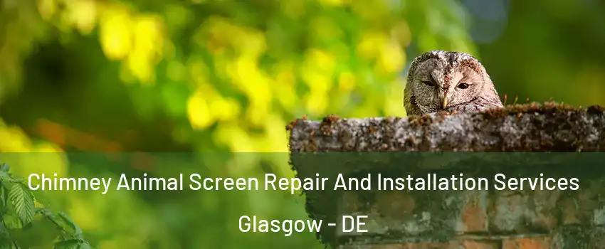  Chimney Animal Screen Repair And Installation Services Glasgow - DE