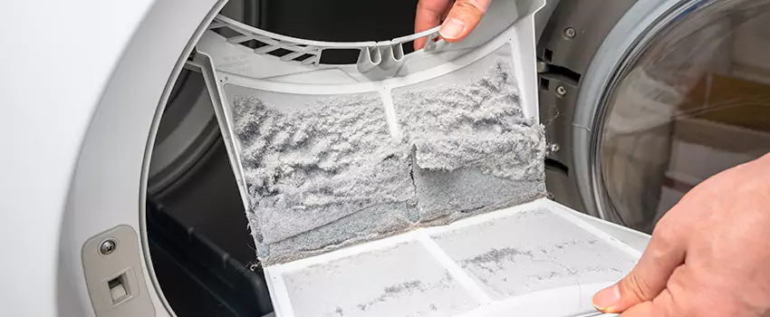 Best Dryer Lint Removal Company in Glasgow, Delaware
