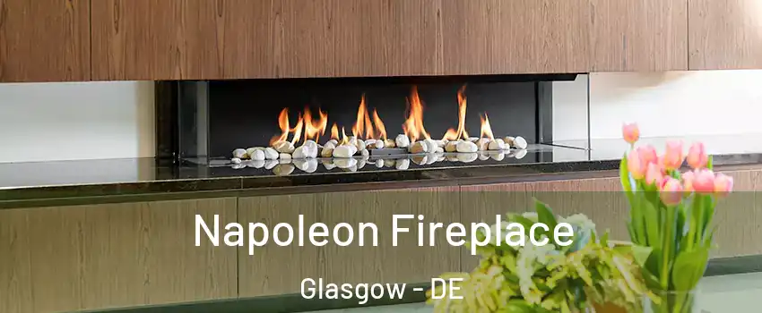  Napoleon Fireplace Glasgow - DE